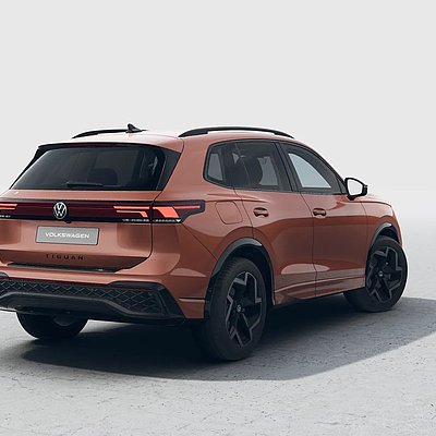 VW Tiguan Edition 20 Heck schräg
